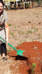 Marjo Baeten Kenya plant tree HAS University of Applied Sciences_small